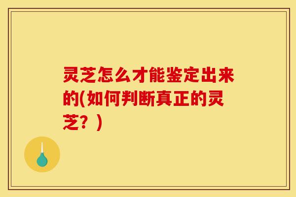 灵芝怎么才能鉴定出来的(如何判断真正的灵芝?) 灵芝怎么才能鉴定出来的(如何判断真正的灵芝?)