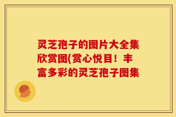 灵芝孢子的图片大全集欣赏图(赏心悦目!丰富多彩的灵芝孢子图集 灵芝孢子的图片大全集欣赏图(赏心悦目!丰富多彩的灵芝孢子图集