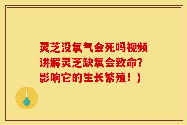 灵芝没氧气会死吗视频讲解灵芝缺氧会致命？影响它的生长繁殖！)