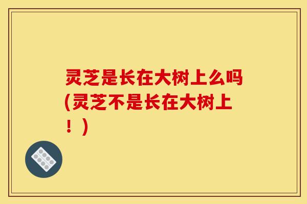 灵芝是长在大树上么吗(灵芝不是长在大树上！)