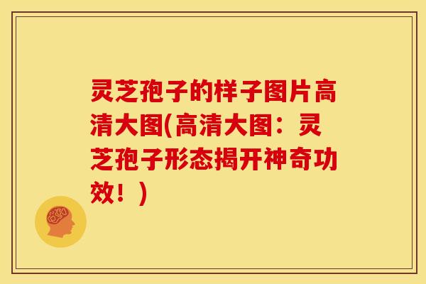 灵芝孢子的样子图片高清大图(高清大图:灵芝孢子形态揭开神奇功效!) 灵芝孢子的样子图片高清大图(高清大图:灵芝孢子形态揭开神奇功效!)