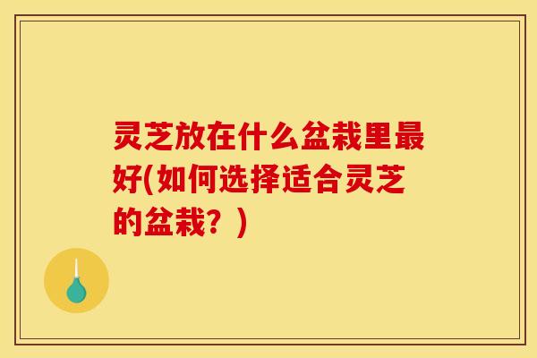 灵芝放在什么盆栽里最好(如何选择适合灵芝的盆栽？)