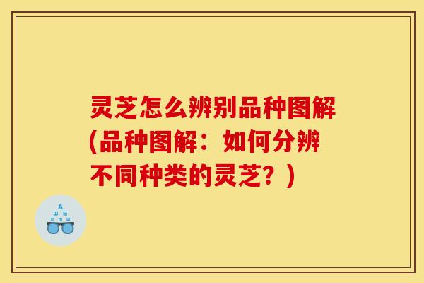 灵芝怎么辨别品种图解(品种图解：如何分辨不同种类的灵芝？)