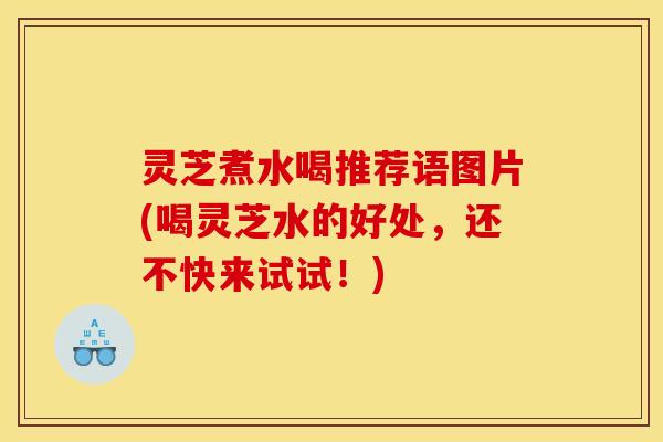 灵芝煮水喝推荐语图片(喝灵芝水的好处，还不快来试试！)