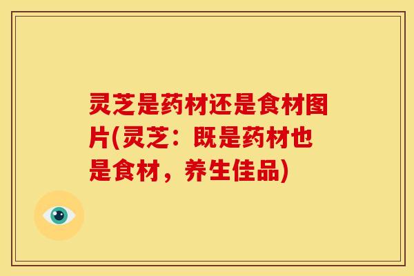 灵芝是药材还是食材图片(灵芝：既是药材也是食材，养生佳品)