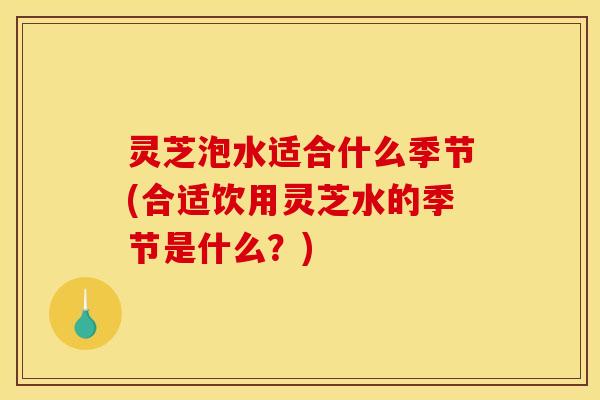 灵芝泡水适合什么季节(合适饮用灵芝水的季节是什么？)