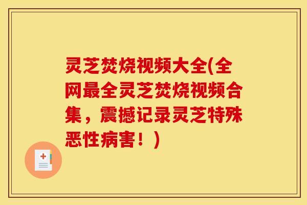 灵芝焚烧视频大全(全网全灵芝焚烧视频合集,震撼记录灵芝特殊恶性害!) 灵芝焚烧视频大全(全网全灵芝焚烧视频合集,震撼记录灵芝特殊恶性害!)