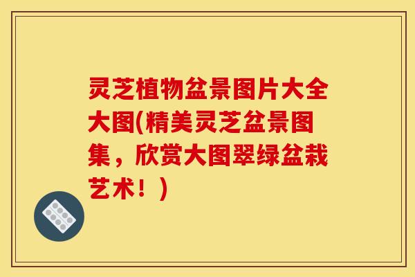 灵芝植物盆景图片大全大图(精美灵芝盆景图集，欣赏大图翠绿盆栽艺术！)