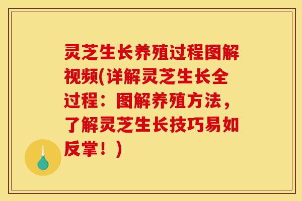 灵芝生长养殖过程图解视频(详解灵芝生长全过程:图解养殖方法,了解灵芝生长技巧易如反掌!) 灵芝生长养殖过程图解视频(详解灵芝生长全过程:图解养殖方法,了解灵芝生长技巧易如反掌!)