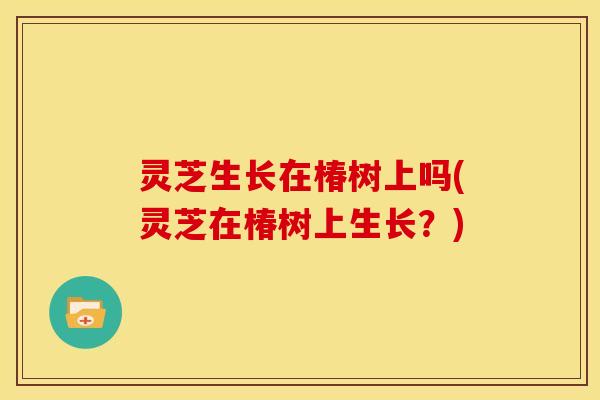 灵芝生长在椿树上吗(灵芝在椿树上生长?) 灵芝生长在椿树上吗(灵芝在椿树上生长?)