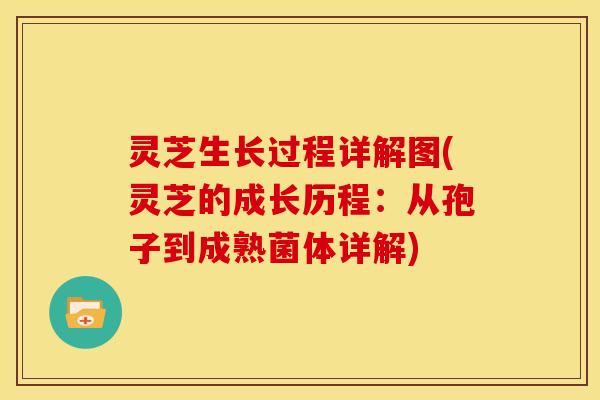 灵芝生长过程详解图(灵芝的成长历程：从孢子到成熟菌体详解)