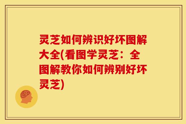 灵芝如何辨识好坏图解大全(看图学灵芝:全图解教你如何辨别好坏灵芝) 灵芝如何辨识好坏图解大全(看图学灵芝:全图解教你如何辨别好坏灵芝)
