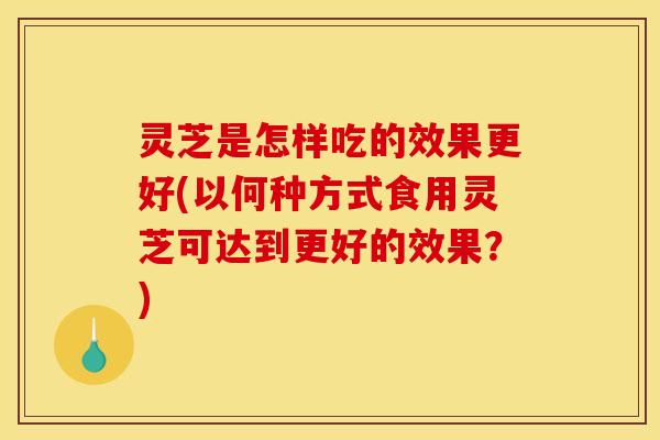 灵芝是怎样吃的效果更好(以何种方式食用灵芝可达到更好的效果？)