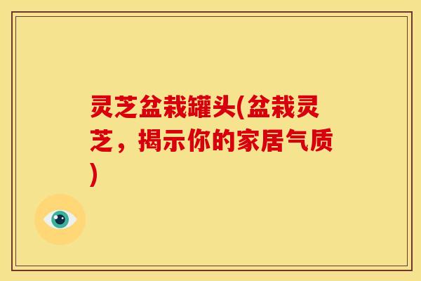 灵芝盆栽罐头(盆栽灵芝，揭示你的家居气质)