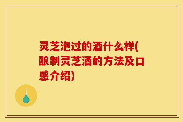 灵芝泡过的酒什么样(酿制灵芝酒的方法及口感介绍)