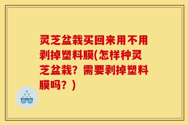 灵芝盆栽买回来用不用剥掉塑料膜(怎样种灵芝盆栽?需要剥掉塑料膜吗?) 灵芝盆栽买回来用不用剥掉塑料膜(怎样种灵芝盆栽?需要剥掉塑料膜吗?)