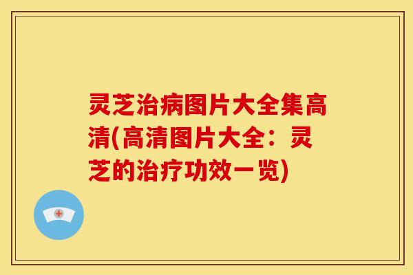 灵芝图片大全集高清(高清图片大全:灵芝的功效一览) 灵芝图片大全集高清(高清图片大全:灵芝的功效一览)