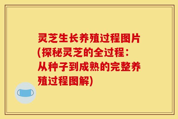灵芝生长养殖过程图片(探秘灵芝的全过程:从种子到成熟的完整养殖过程图解) 灵芝生长养殖过程图片(探秘灵芝的全过程:从种子到成熟的完整养殖过程图解)