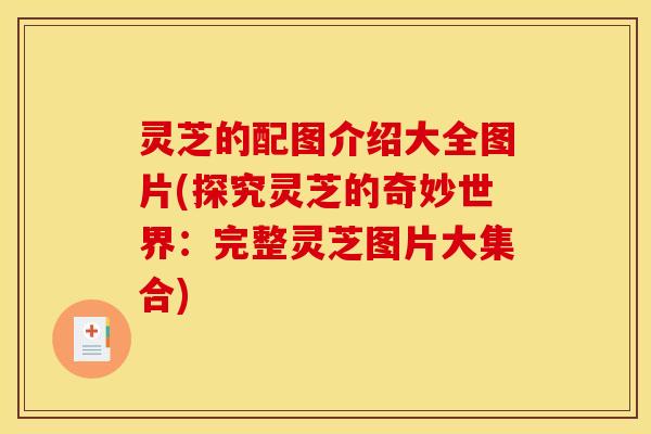 灵芝的配图介绍大全图片(探究灵芝的奇妙世界：完整灵芝图片大集合)