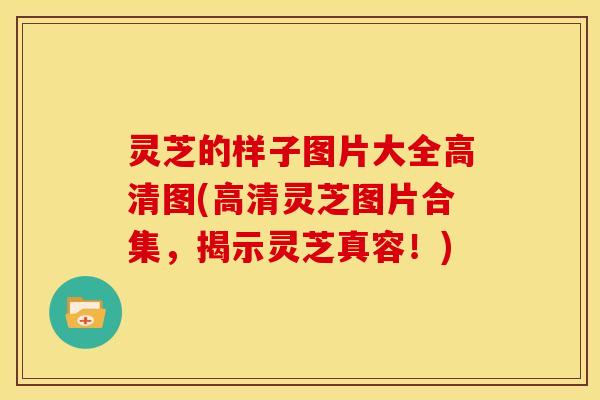 灵芝的样子图片大全高清图(高清灵芝图片合集，揭示灵芝真容！)