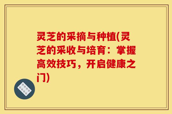 灵芝的采摘与种植(灵芝的采收与培育：掌握高效技巧，开启健康之门)