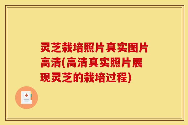 灵芝栽培照片真实图片高清(高清真实照片展现灵芝的栽培过程)