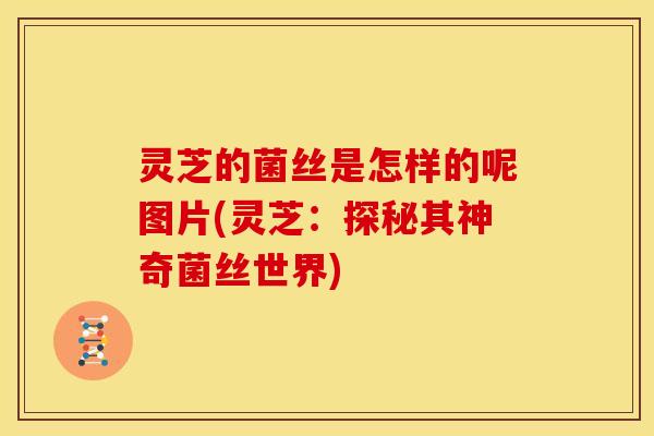 灵芝的菌丝是怎样的呢图片(灵芝：探秘其神奇菌丝世界)