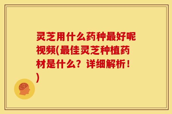 灵芝用什么药种最好呢视频(最佳灵芝种植药材是什么？详细解析！)