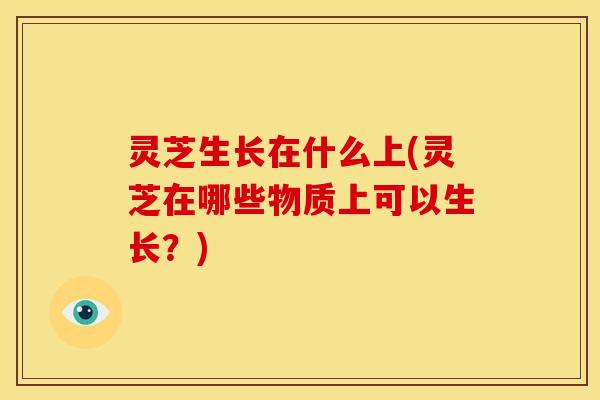 灵芝生长在什么上(灵芝在哪些物质上可以生长?) 灵芝生长在什么上(灵芝在哪些物质上可以生长?)