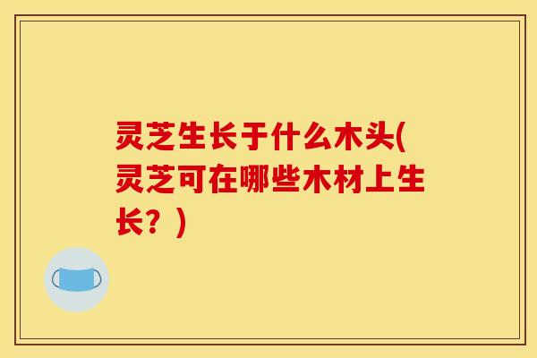 灵芝生长于什么木头(灵芝可在哪些木材上生长?) 灵芝生长于什么木头(灵芝可在哪些木材上生长?)