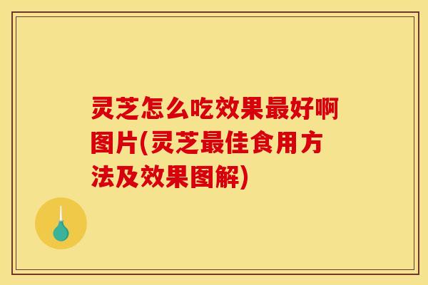 灵芝怎么吃效果好啊图片(灵芝佳食用方法及效果图解) 灵芝怎么吃效果好啊图片(灵芝佳食用方法及效果图解)