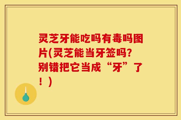 灵芝牙能吃吗有毒吗图片(灵芝能当牙签吗?别错把它当成“牙”了!) 灵芝牙能吃吗有毒吗图片(灵芝能当牙签吗?别错把它当成“牙”了!)