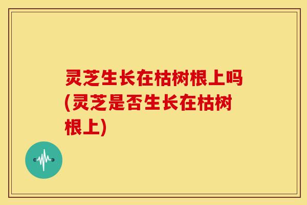 灵芝生长在枯树根上吗(灵芝是否生长在枯树根上) 灵芝生长在枯树根上吗(灵芝是否生长在枯树根上)