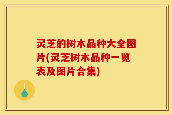 灵芝的树木品种大全图片(灵芝树木品种一览表及图片合集) 灵芝的树木品种大全图片(灵芝树木品种一览表及图片合集)