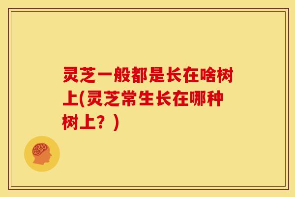 灵芝一般都是长在啥树上(灵芝常生长在哪种树上?) 灵芝一般都是长在啥树上(灵芝常生长在哪种树上?)