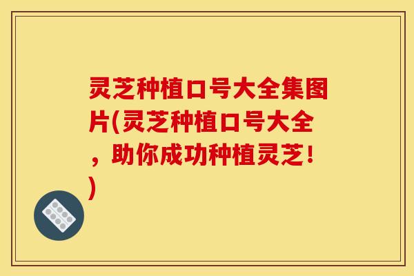灵芝种植口号大全集图片(灵芝种植口号大全,助你成功种植灵芝!) 灵芝种植口号大全集图片(灵芝种植口号大全,助你成功种植灵芝!)