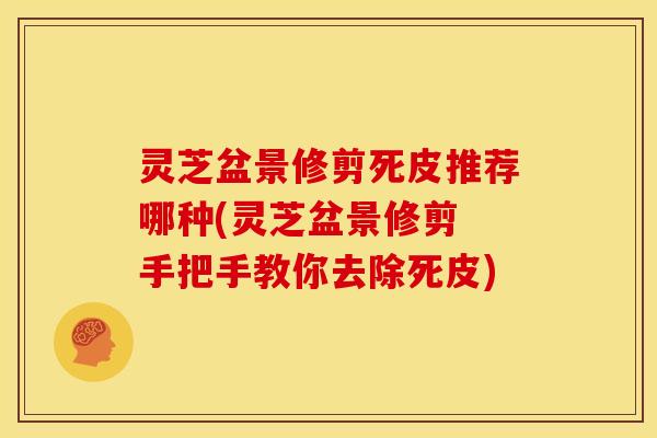灵芝盆景修剪死皮推荐哪种(灵芝盆景修剪 手把手教你去除死皮) 灵芝盆景修剪死皮推荐哪种(灵芝盆景修剪 手把手教你去除死皮)