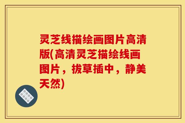 灵芝线描绘画图片高清版(高清灵芝描绘线画图片,拔草插中,静美天然) 灵芝线描绘画图片高清版(高清灵芝描绘线画图片,拔草插中,静美天然)