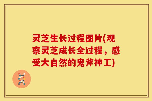 灵芝生长过程图片(观察灵芝成长全过程,感受大自然的鬼斧神工) 灵芝生长过程图片(观察灵芝成长全过程,感受大自然的鬼斧神工)