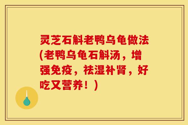 灵芝石斛老鸭乌龟做法(老鸭乌龟石斛汤,增强免疫,祛湿补,好吃又营养!) 灵芝石斛老鸭乌龟做法(老鸭乌龟石斛汤,增强免疫,祛湿补,好吃又营养!)