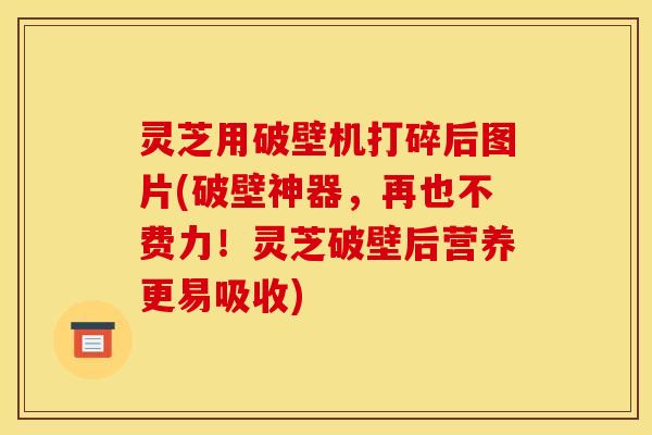 灵芝用破壁机打碎后图片(破壁神器,再也不费力!灵芝破壁后营养更易吸收) 灵芝用破壁机打碎后图片(破壁神器,再也不费力!灵芝破壁后营养更易吸收)