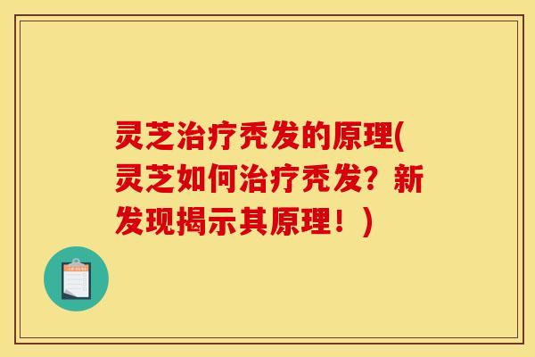 灵芝秃发的原理(灵芝如何秃发？新发现揭示其原理！)