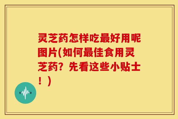 灵芝药怎样吃好用呢图片(如何佳食用灵芝药？先看这些小贴士！)