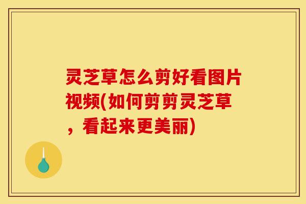 灵芝草怎么剪好看图片视频(如何剪剪灵芝草，看起来更美丽)