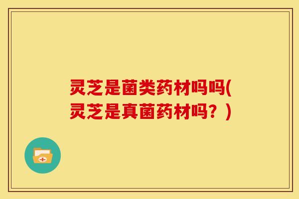 灵芝是菌类药材吗吗(灵芝是真菌药材吗？)