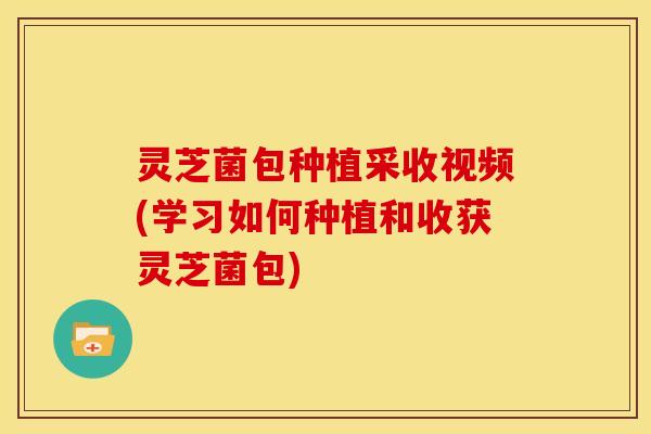 灵芝菌包种植采收视频(学习如何种植和收获灵芝菌包)