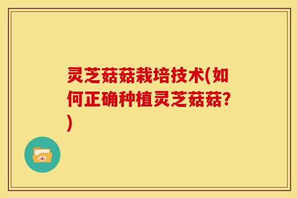 灵芝菇菇栽培技术(如何正确种植灵芝菇菇？)