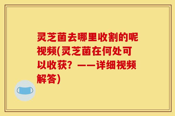 灵芝菌去哪里收割的呢视频(灵芝菌在何处可以收获？——详细视频解答)