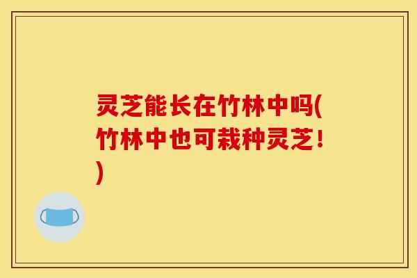 灵芝能长在竹林中吗(竹林中也可栽种灵芝！)