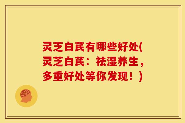 灵芝白芪有哪些好处(灵芝白芪：祛湿养生，多重好处等你发现！)